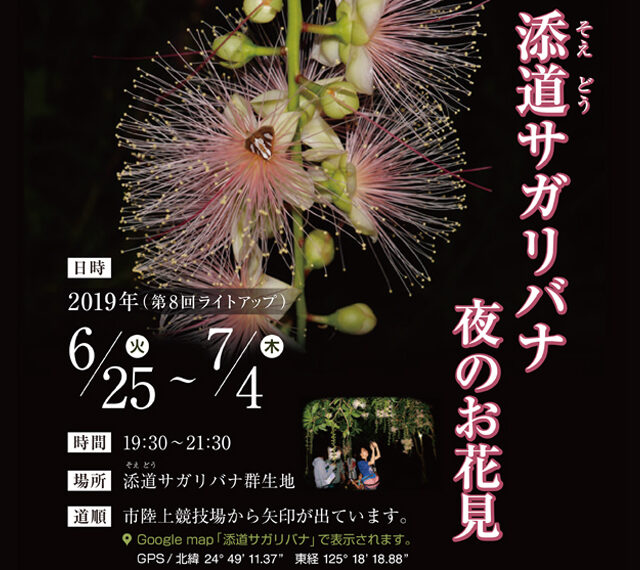 宮古島　添道サガリバナ夜のお花見2019