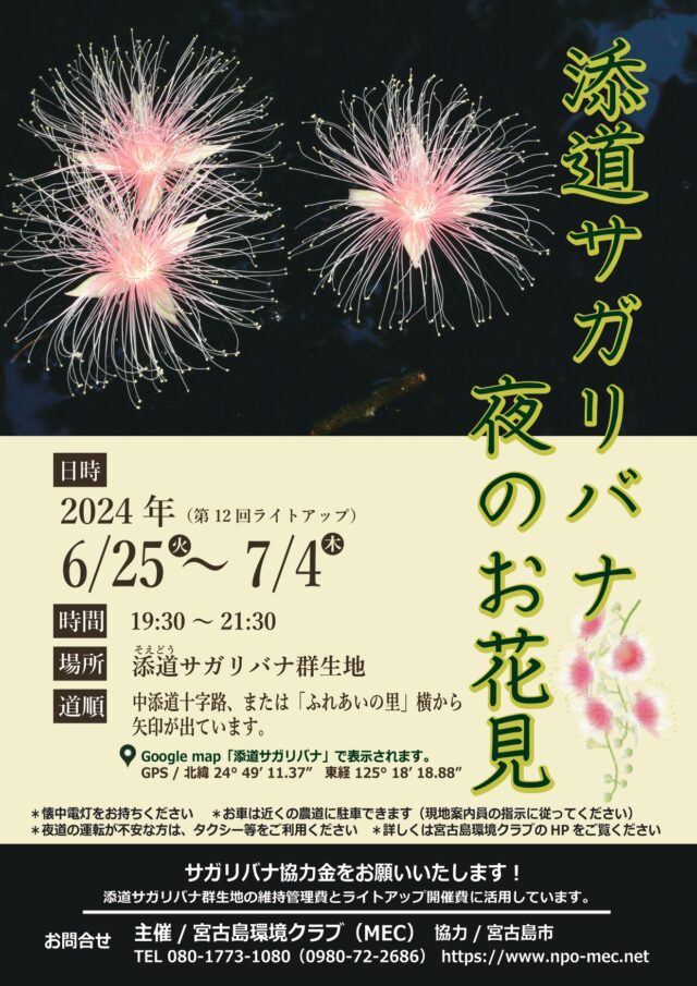 「宮古島の添道サガリバナ 夜のお花見2024」開催！！