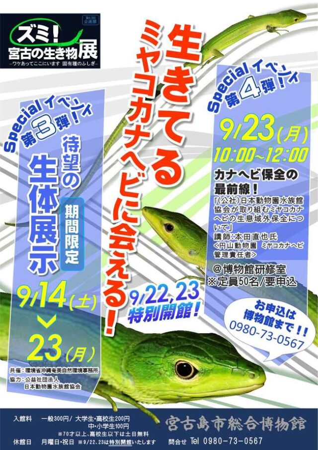 宮古島市総合博物館「生きてるミヤコカナヘビに会える！」